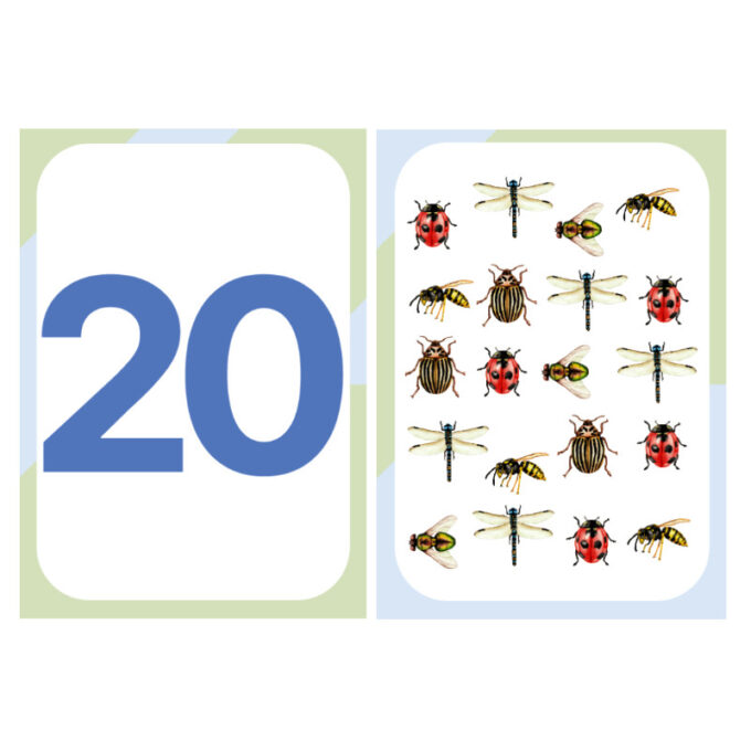 Õppekaardid "Numbrid"