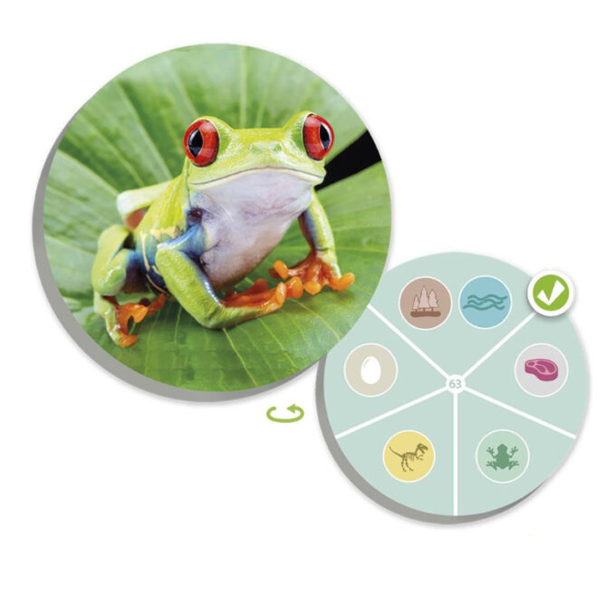 Loomade lotomäng "Leia ja sorteeri"