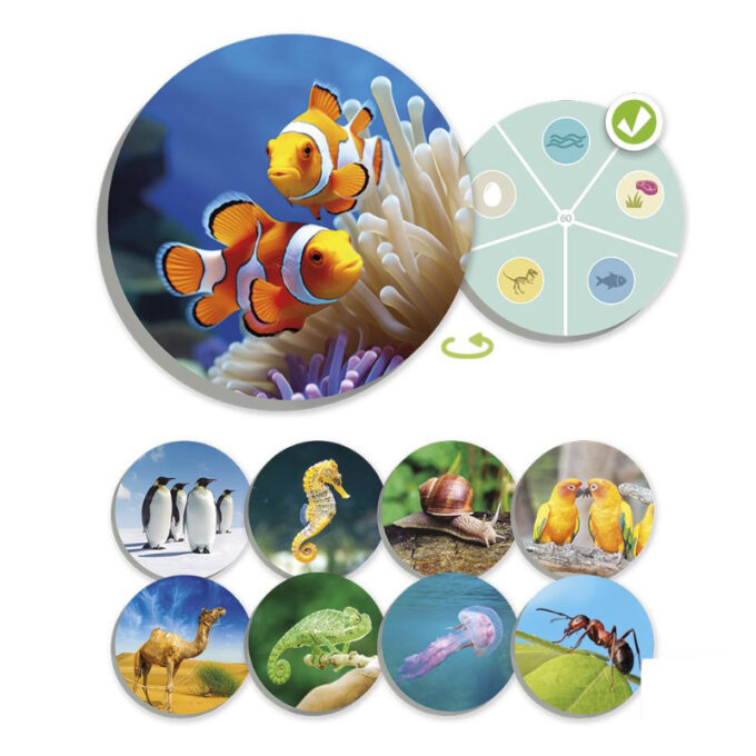 Loomade lotomäng "Leia ja sorteeri"