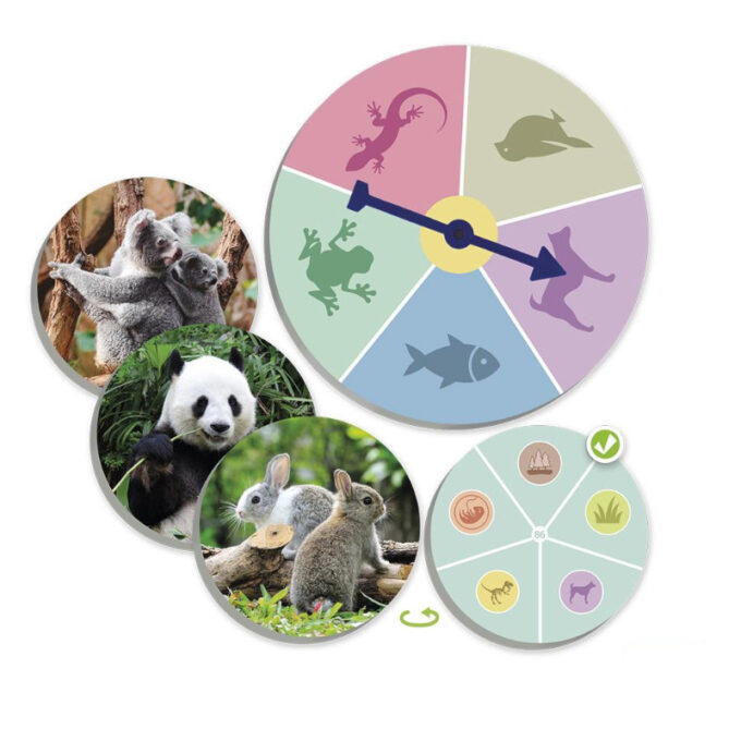 Loomade lotomäng "Leia ja sorteeri"