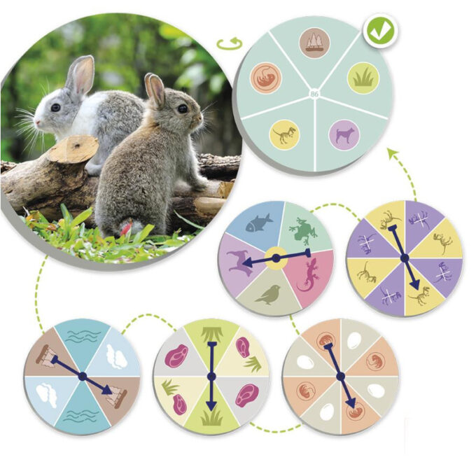 Loomade lotomäng "Leia ja sorteeri"