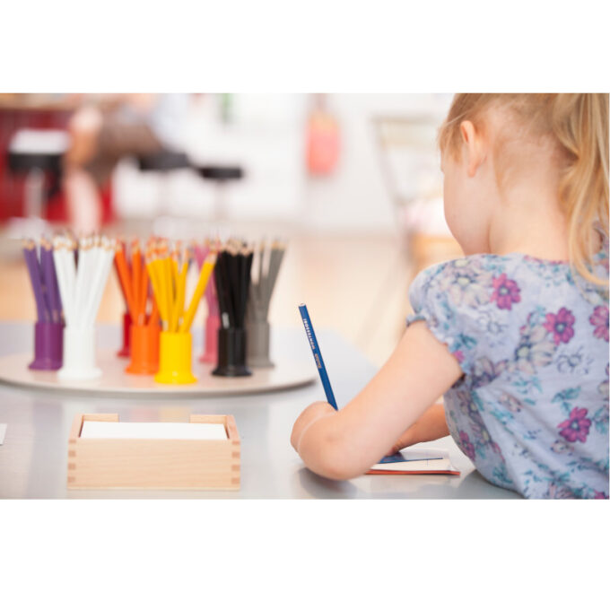 Montessori värvipliiatsid (132 tk) - Nienhuis