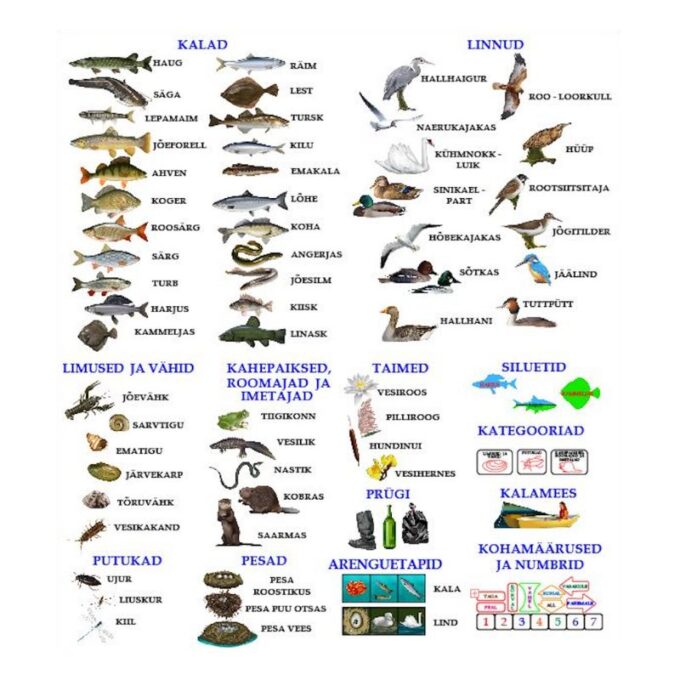 Suur magnetiline õppemäng "Veemaailm" postriga