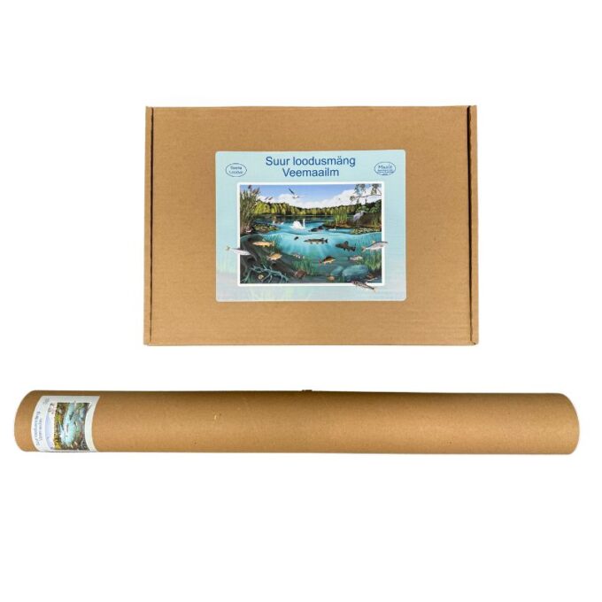 Suur magnetiline õppemäng "Veemaailm" postriga