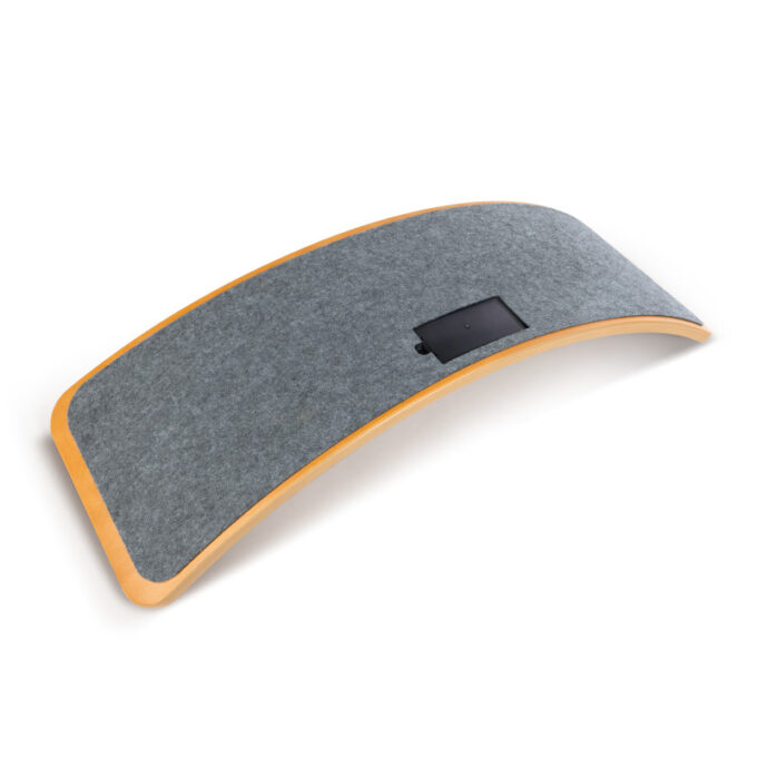 Interaktiivne tasakaalulaud