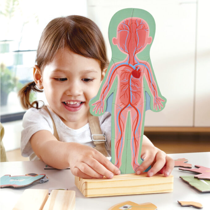 Magnetiline pusle "Inimese keha"