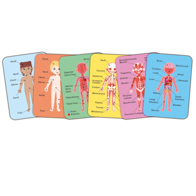 Magnetiline pusle "Inimese keha"