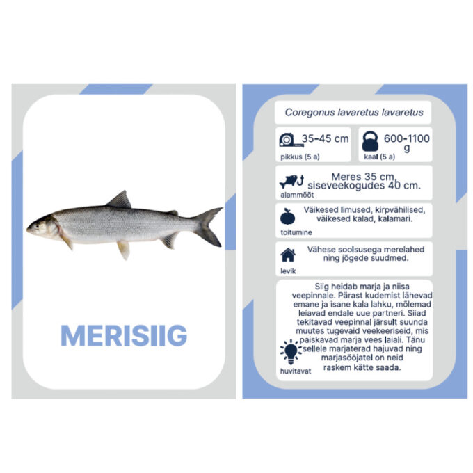 Õppekaardid "Eesti kalad"