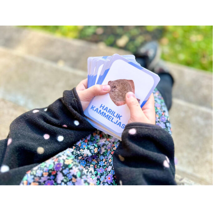 Õppekaardid "Eesti kalad"