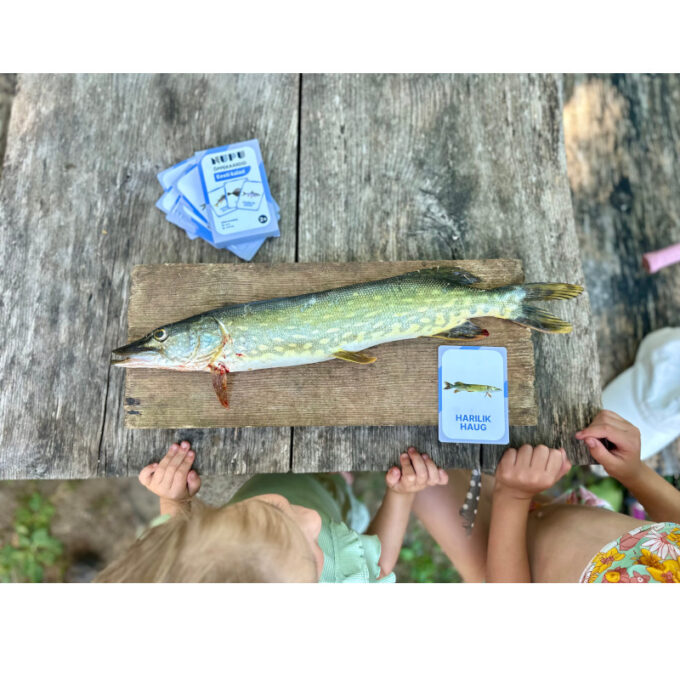 Õppekaardid "Eesti kalad"