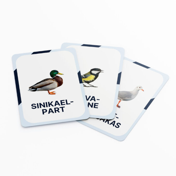 Õppekaardid "Eesti linnud"