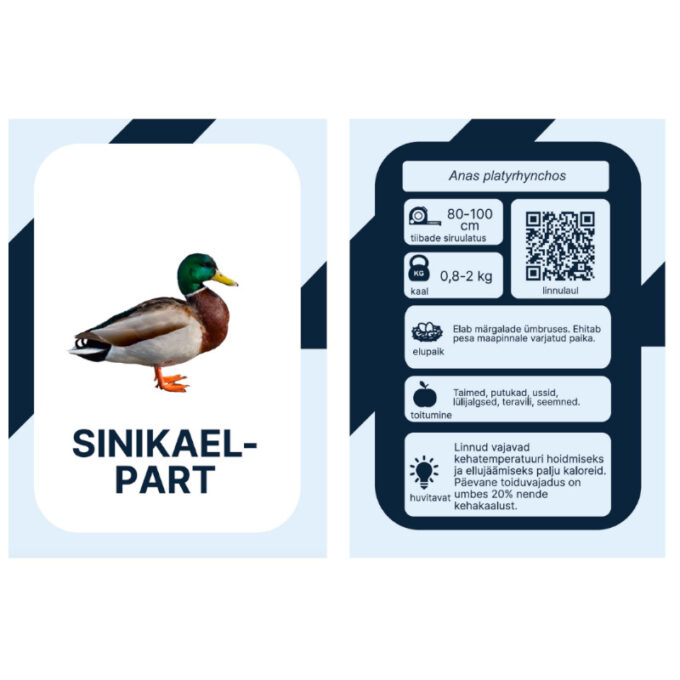 Õppekaardid "Eesti linnud"