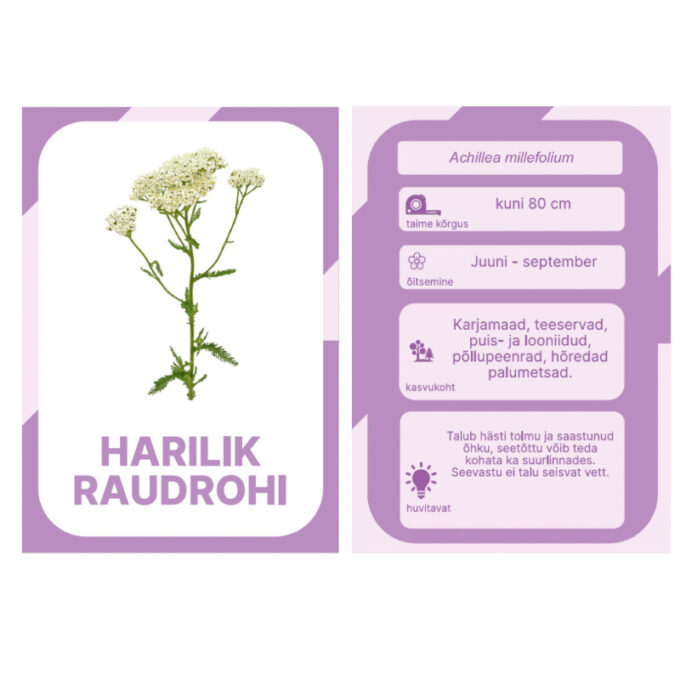 Õppekaardid "Eesti niidu- ja metsalilled"