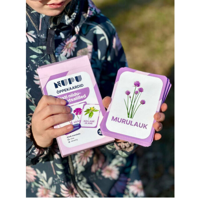 Õppekaardid "Eesti niidu- ja metsalilled"