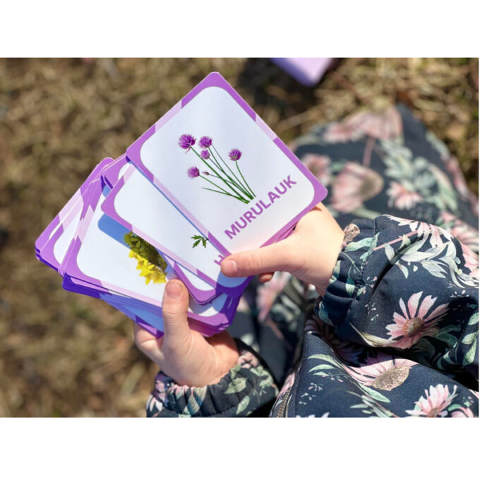 Õppekaardid "Eesti niidu- ja metsalilled"