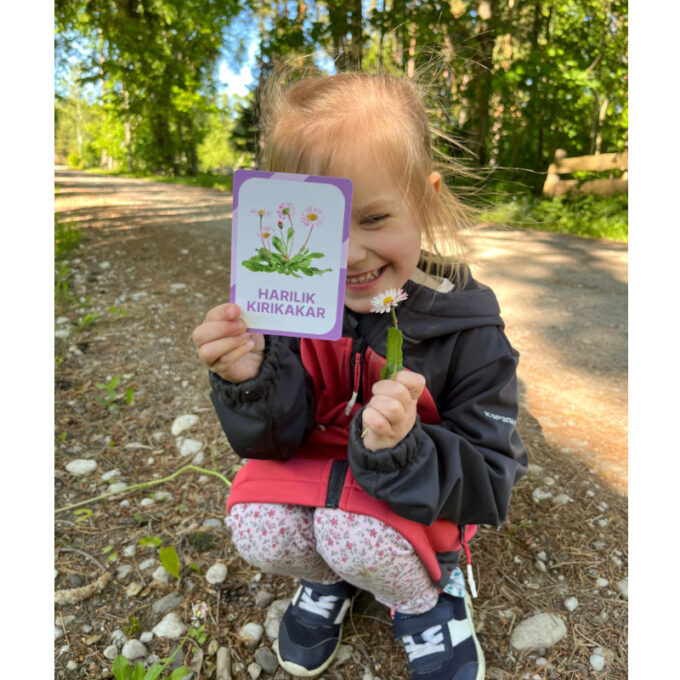 Õppekaardid "Eesti niidu- ja metsalilled"