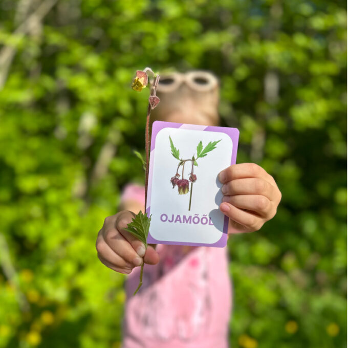 Õppekaardid "Eesti niidu- ja metsalilled"