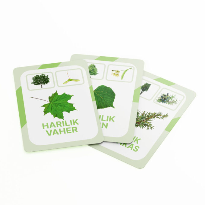 Õppekaardid "Eesti puud"