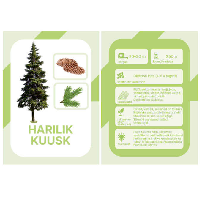 Õppekaardid "Eesti puud"