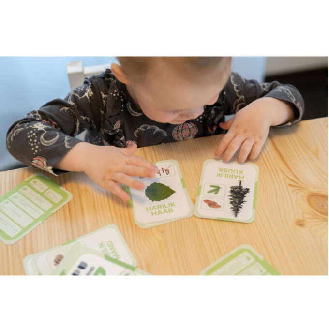 Õppekaardid "Eesti puud"