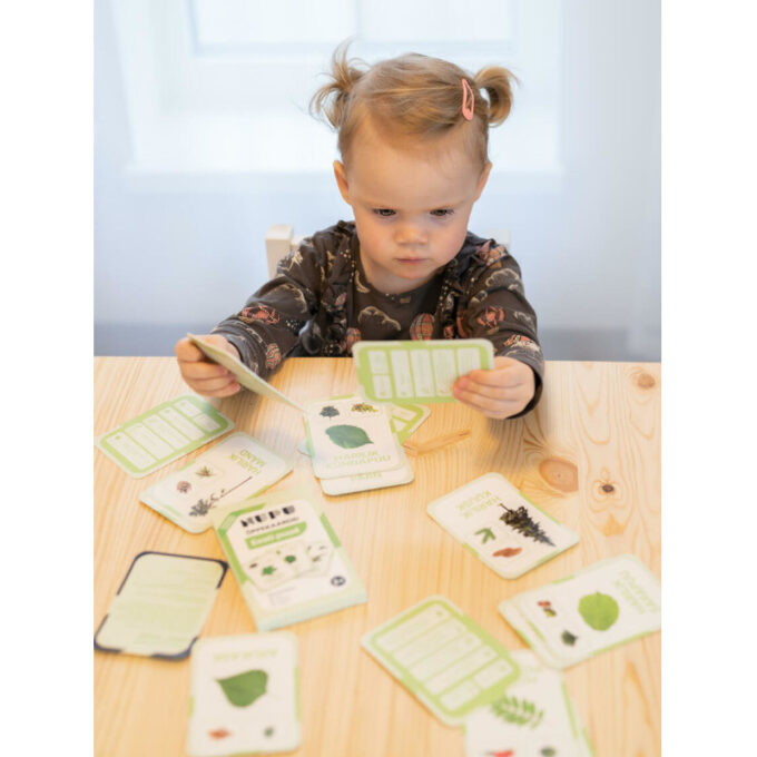 Õppekaardid "Eesti puud"