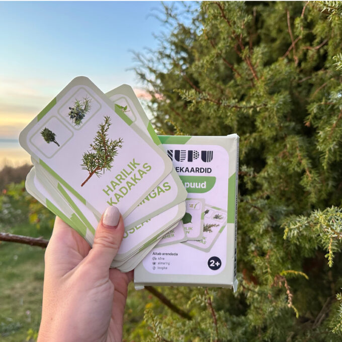 Õppekaardid "Eesti puud"