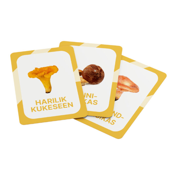 Õppekaardid "Eesti seened"