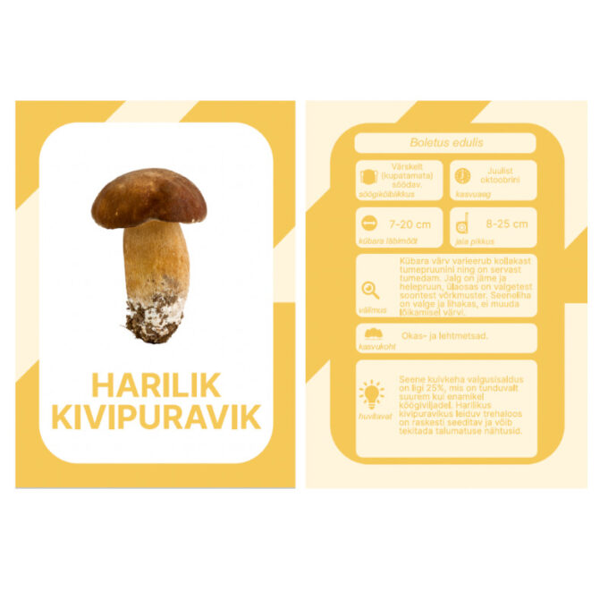 Õppekaardid "Eesti seened"