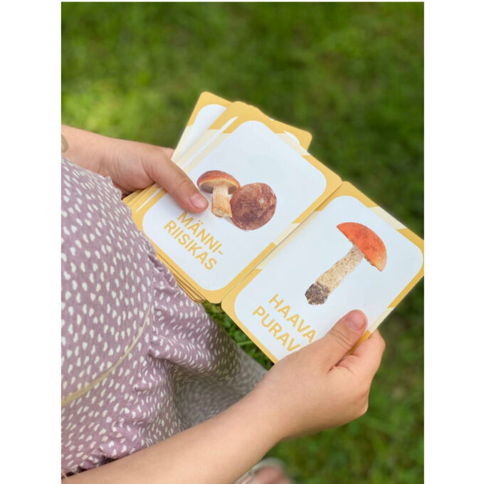 Õppekaardid "Eesti seened"