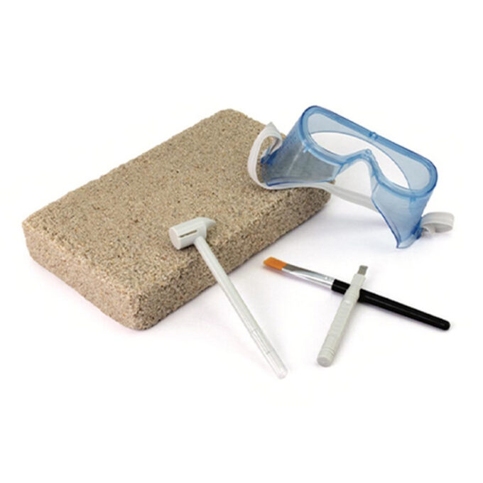 Arheoloogiakomplekt "Dinosaurused"