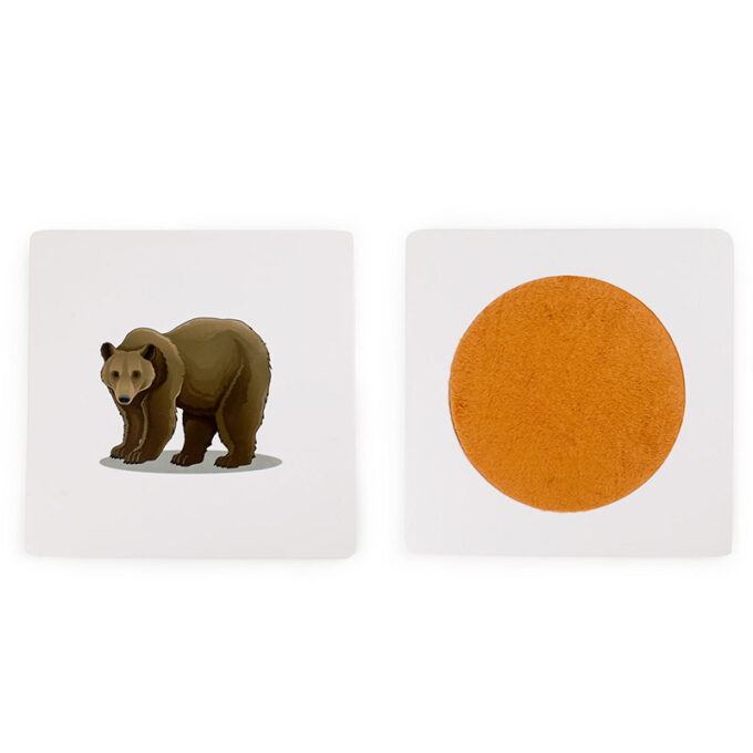 Sensoorsed loomakaardid