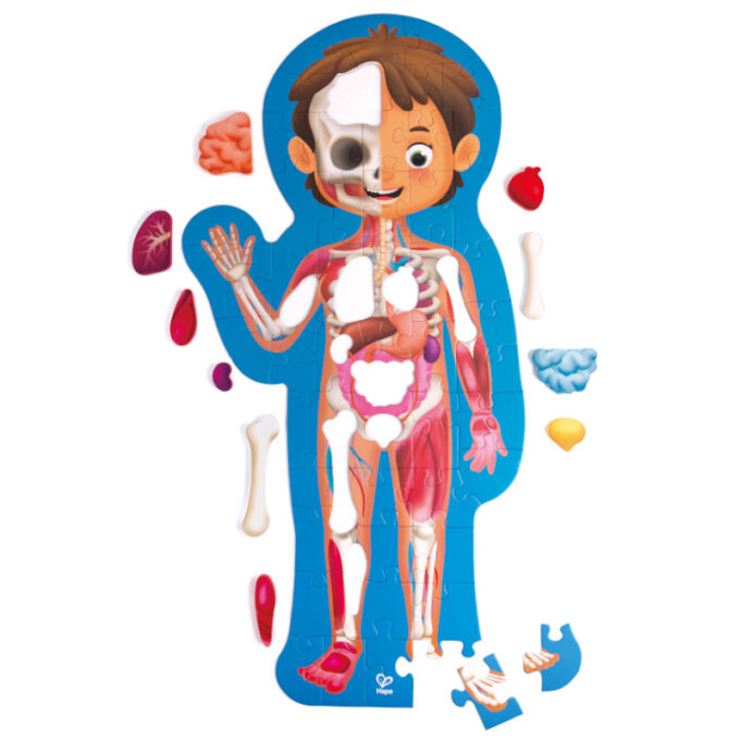 XXL puslemäng "Minu keha"