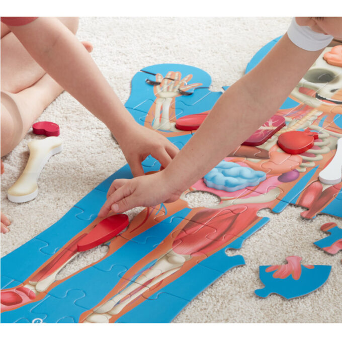 XXL puslemäng "Minu keha"