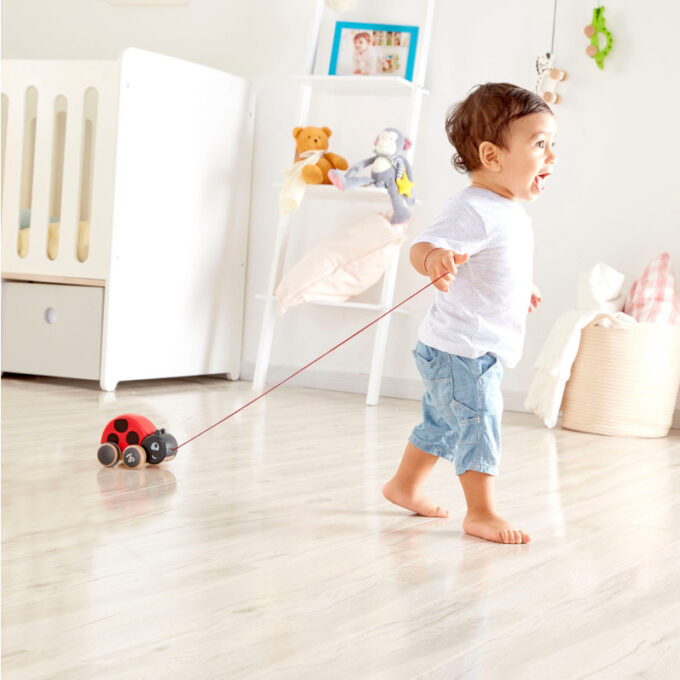 Kingipakk järelveetava lepatriinuga