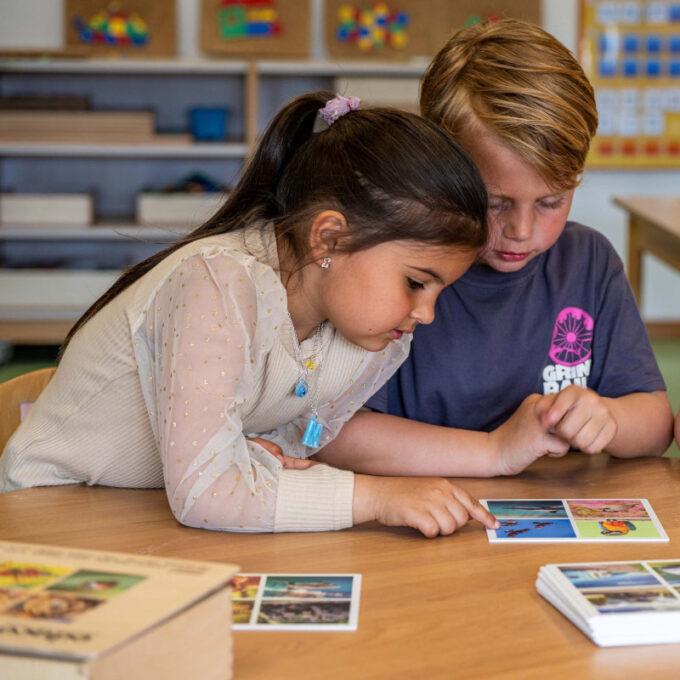 Tähelepanumäng "Ruudud - fotod"