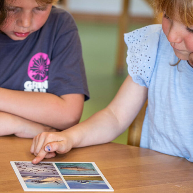 Tähelepanumäng "Ruudud - fotod"