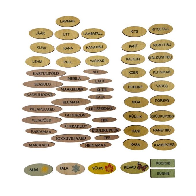 Suur magnetiline õppemäng "Talu" postriga