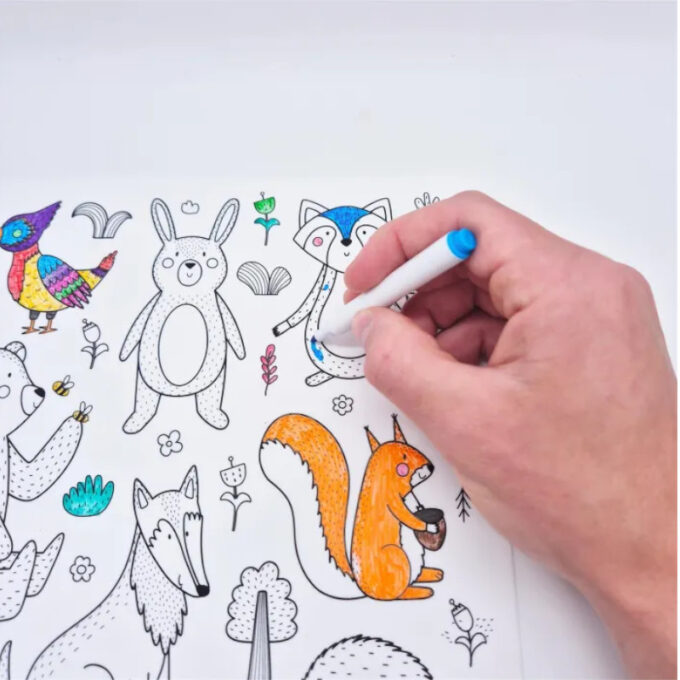 Korduvkasutatav värvimismatt "Metsaloomad" (12 pliiatsiga)