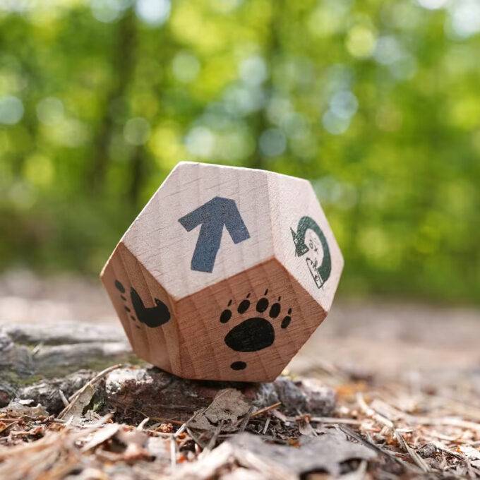 Õueseikluste tegevustäring "Üllata end"