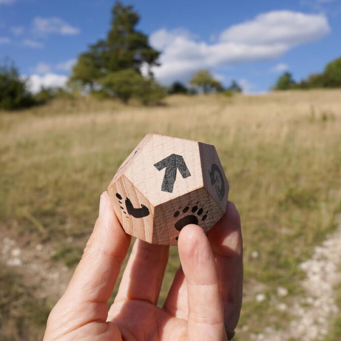 Õueseikluste tegevustäring "Üllata end"